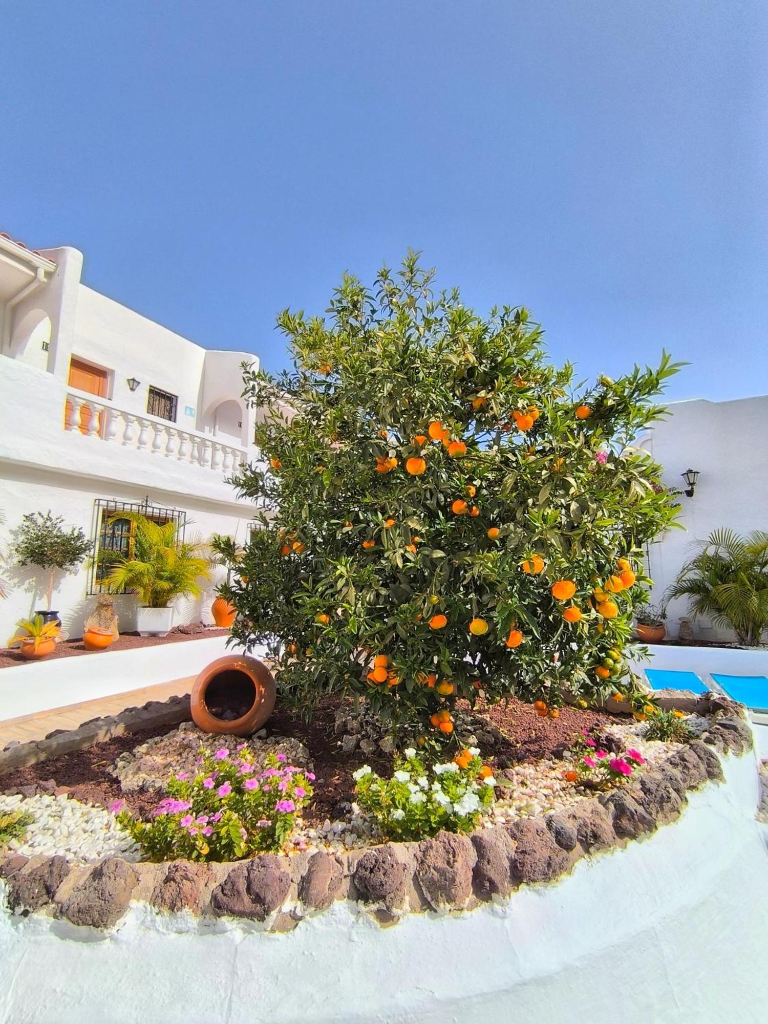 Apartment Sunlit Isle - Heated Pool, Fibre Net, Cristianos Los Cristianos (Tenerife)