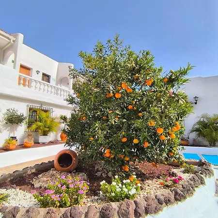 Sunlit Isle - Heated Pool, Fibre Net, Los Cristianos Los Cristianos  Buitenkant foto